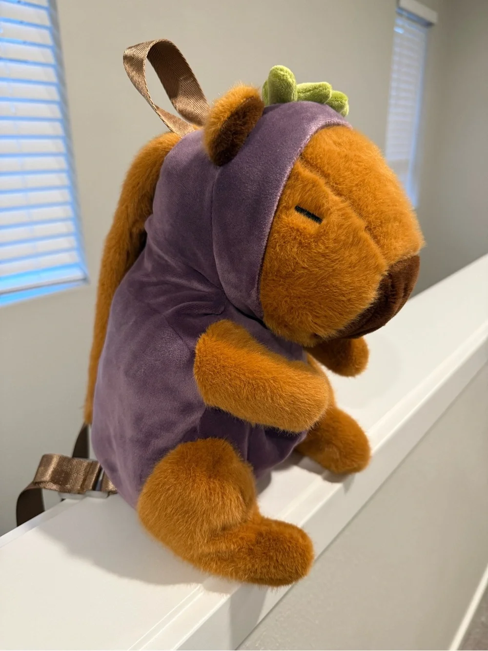 Capybara wearing Eggplant costume backpack
